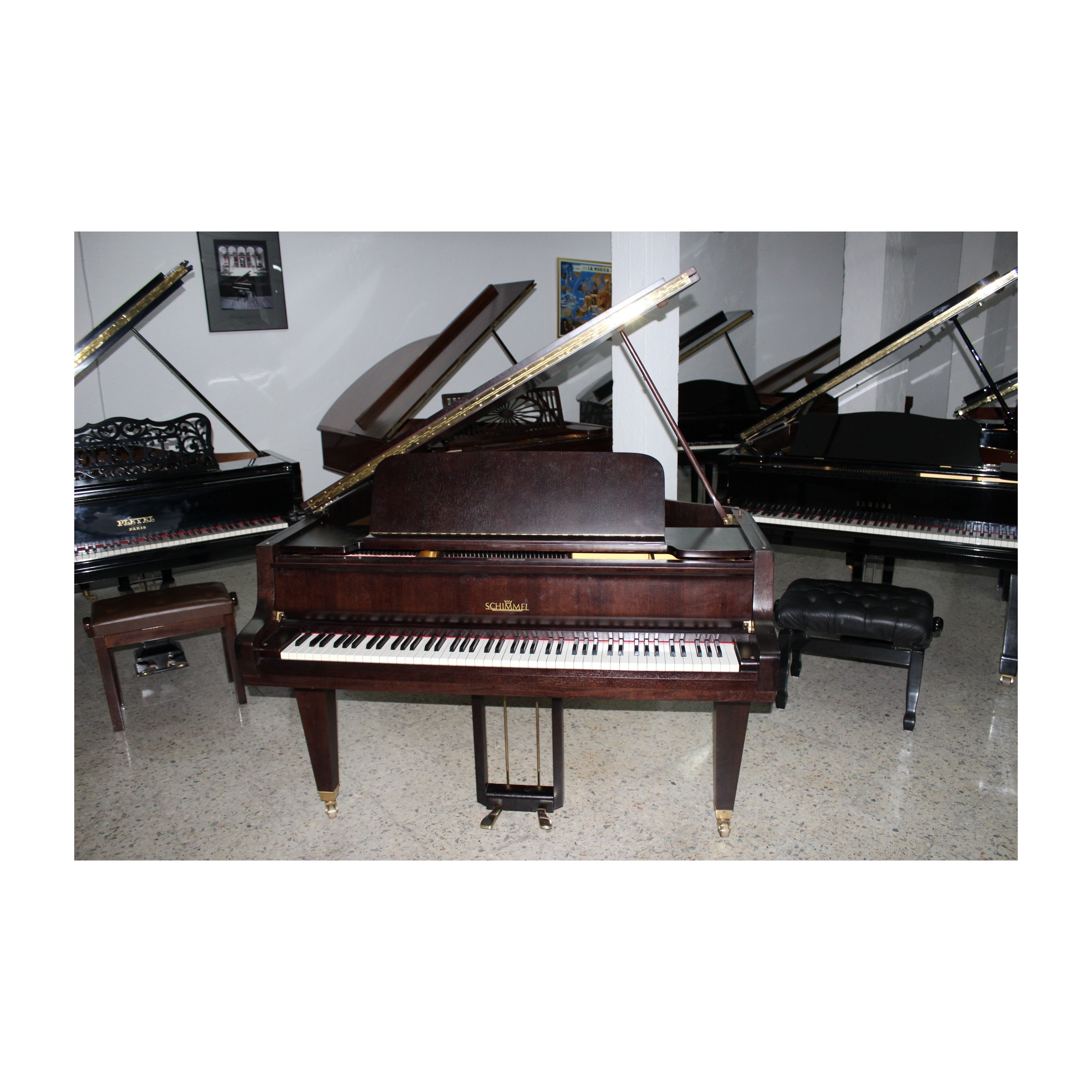 PIANO COLA SCHIMMEL NOGAL SATINADO  USADO