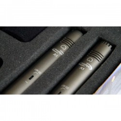 MICROFONO PRODIPE DUO A1