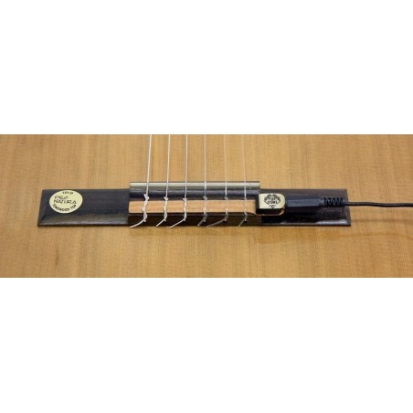 PASTILLA PARA GUITARRA CLASICA COXX