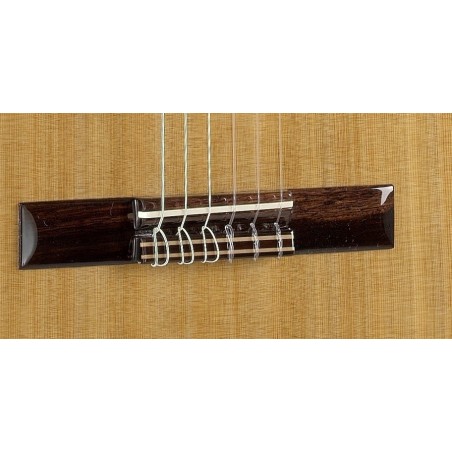 GUITARRA CLASICA ALHAMBRA 1C