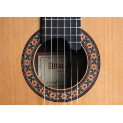 GUITARRA CLASICA  ALHAMBRA 10P