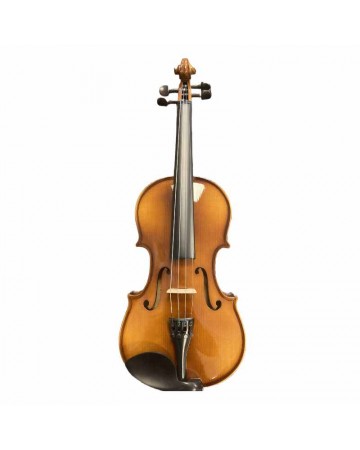 VIOLIN DOLLFER 300P 3/4