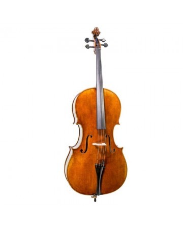 Cello F. Müller Master Antiqued 4/4