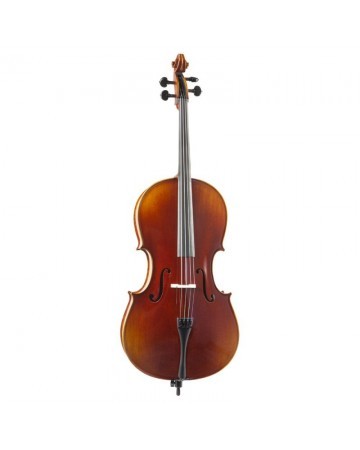 Cello F. Müller Soloist 4/4