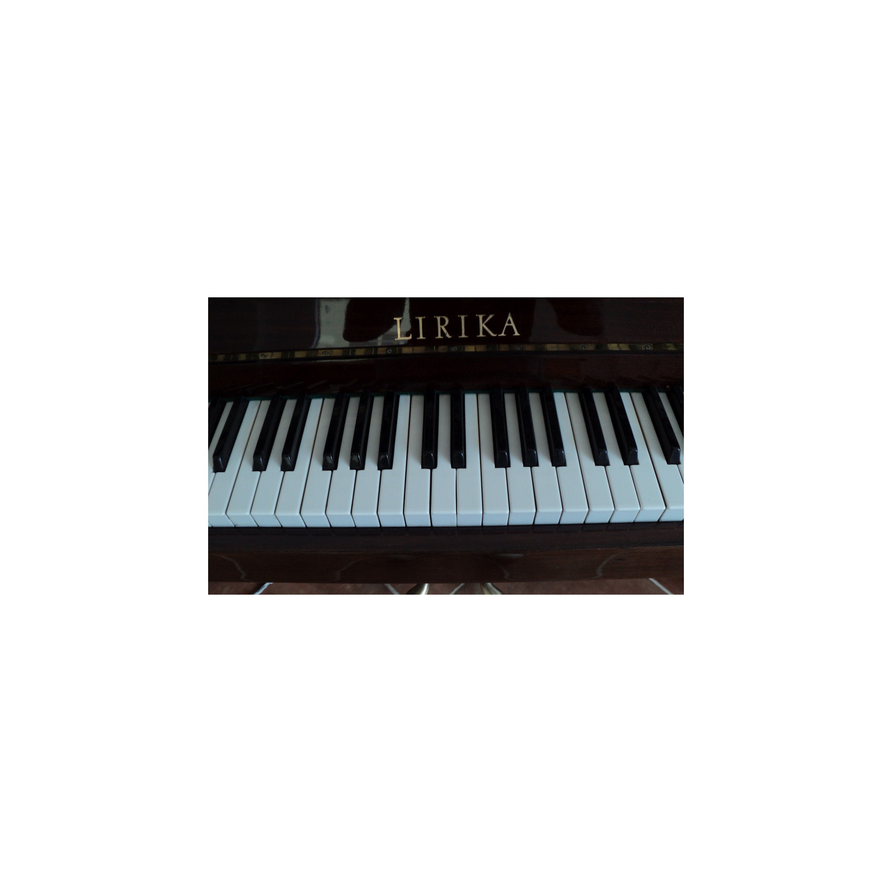 PIANO LIRIKA 120 NEGRO USADO