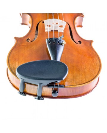 250111 Barbada violín...