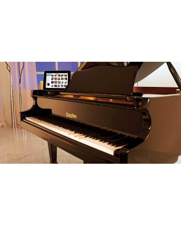 PIANO VERTICAL Prodigy Player System MODELO QuietTime Package