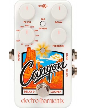 Pedal Delay Electro Harmonix Canyon