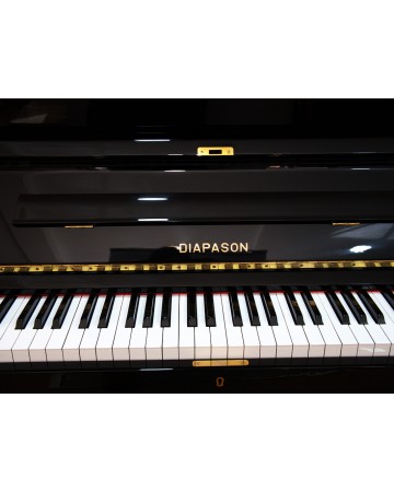 DIAPASON D20B PIANO NEGRO...