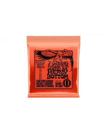 ERNIE BALL SLINKY SKINNY...