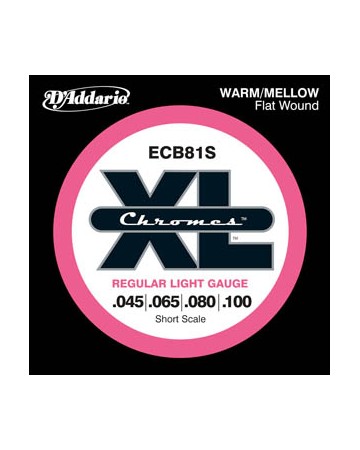 D´ADDARIO ECB81 45 100...