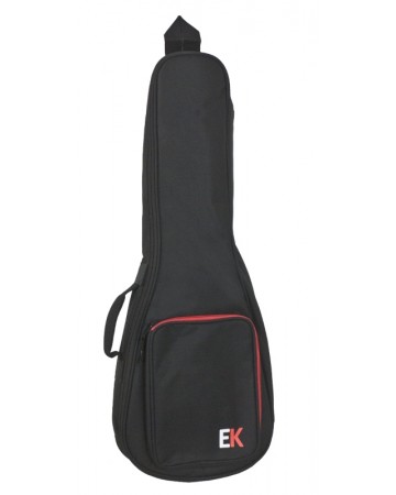 EK FUNDA PARA UKELELE...