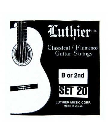 LUTHIER CUERDA 2ª 20...