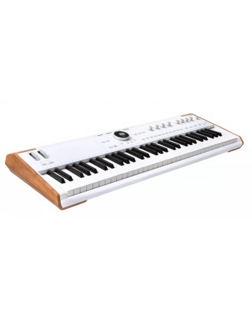 ARTURIA ASTROLAB 88 TECLADO...