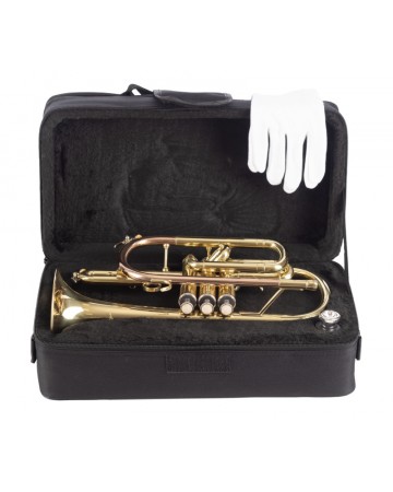 AMADEUS PISTONES MONEL CORNETA