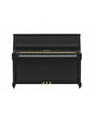 YAMAHA B20 PE Piano...