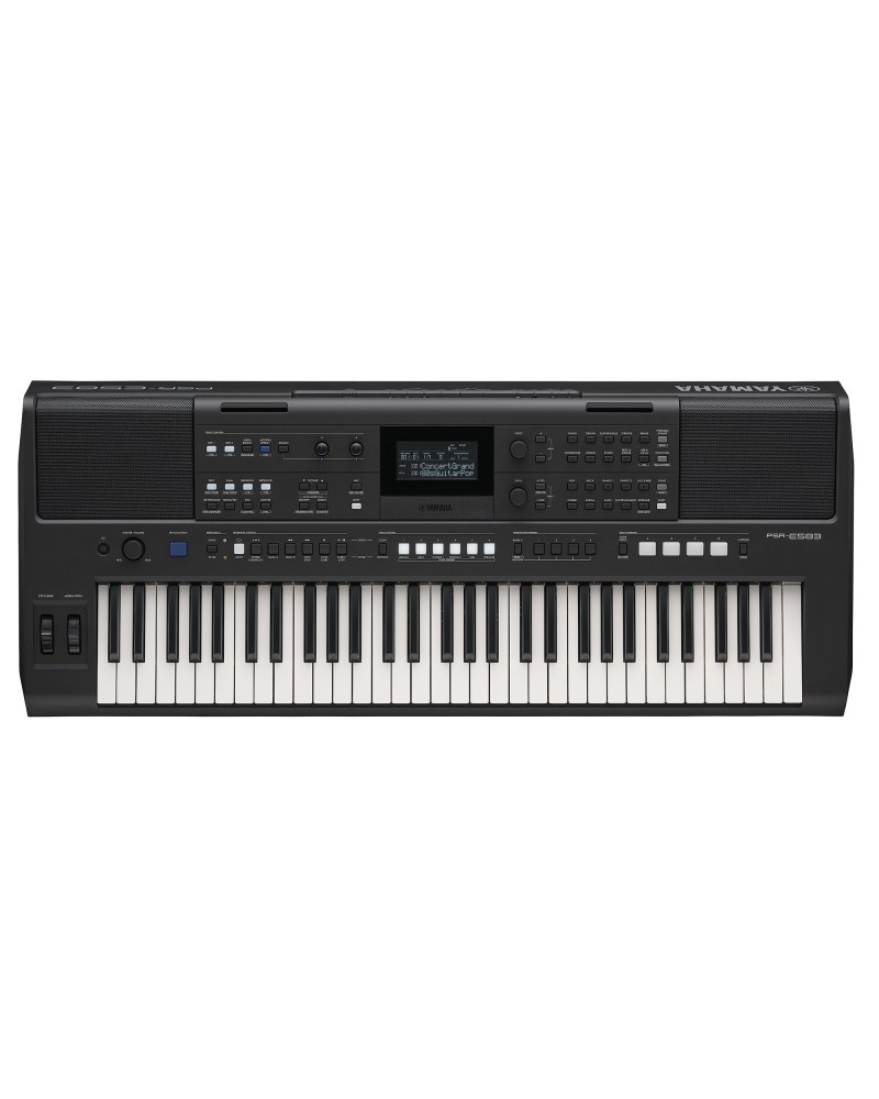 PSRSX700 PSRSX900