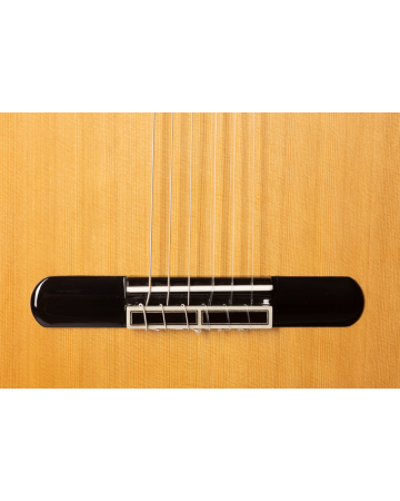 Admira Artista Guitarra Clásica Serie Conservatorio Tapa Cedro Fondo Ziricote