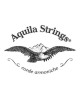 Aquila